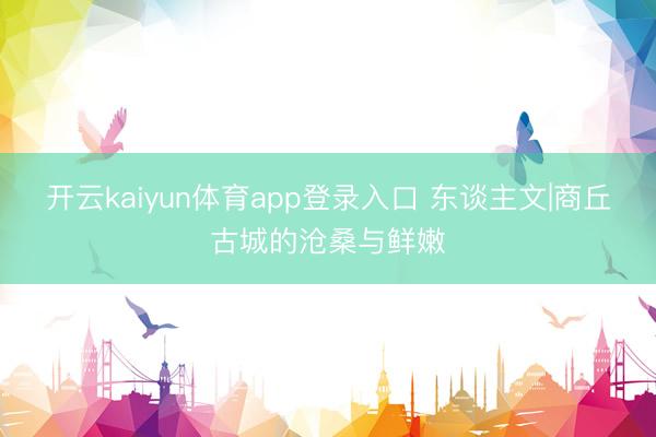 开云kaiyun体育app登录入口 东谈主文|商丘古城的沧桑与鲜嫩