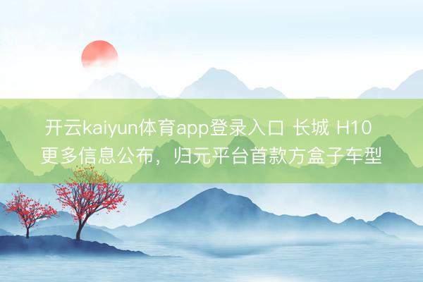 开云kaiyun体育app登录入口 长城 H10 更多信息公布，归元平台首款方盒子车型