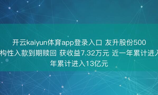 开云kaiyun体育app登录入口 友升股份5000万元结构性入款到期赎回 获收益7.32万元 近一年累计进入13亿元
