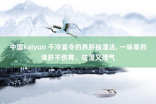 中国kaiyun 干冷夏令的养肝祛湿法, 一味草药清肝不伤胃、祛湿又理气